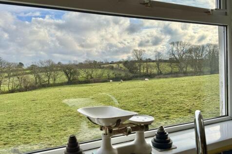 View From the Kitchen