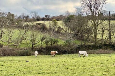 Neighbouring Fields