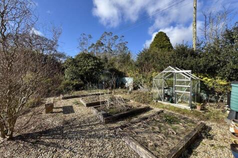Vegetable Garden