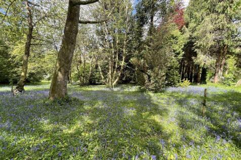 Woodland