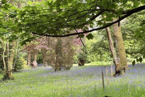 Grounds