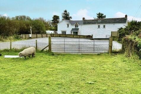 Paddock And Parking
