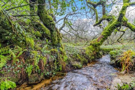 Tumbling Stream