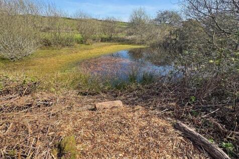 Pretty Wildlife Pond