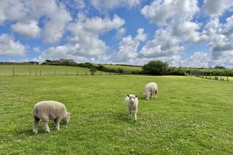 Two paddocks