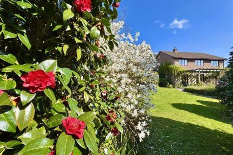 Beautiful Garden