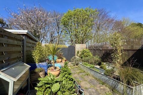 Sunny Garden