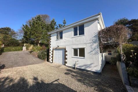 Lower ground floor with garage  - ann...