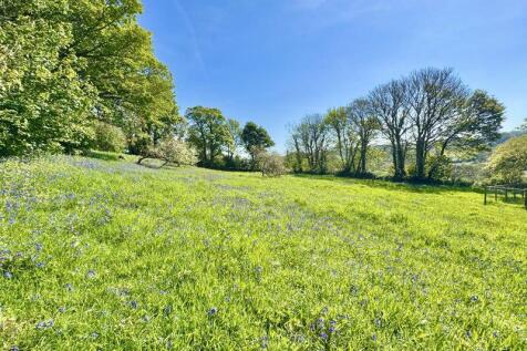 Orchard / Paddock