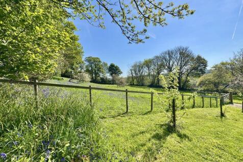 Orchard / Paddock