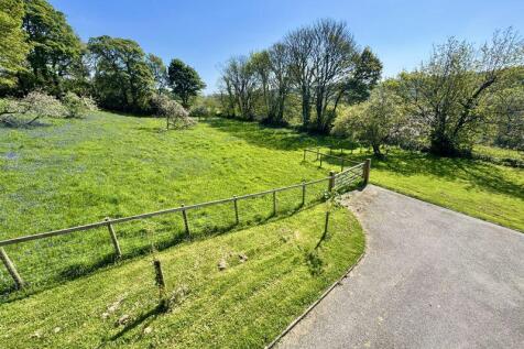 Orchard / Paddock