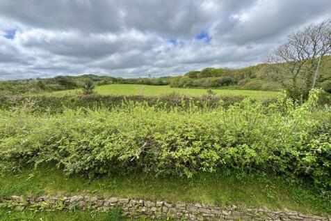 Rural View