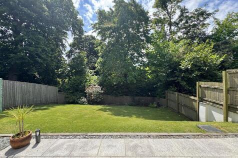 Sunny Patio