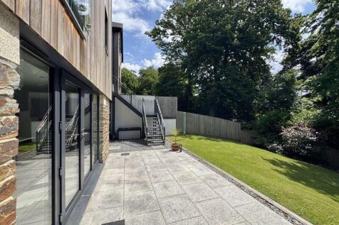 Leafy Surroundings