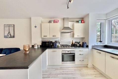 Kitchen / Living / Dining Room