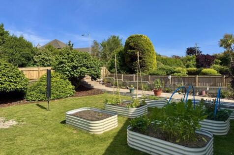 Vegetable Garden