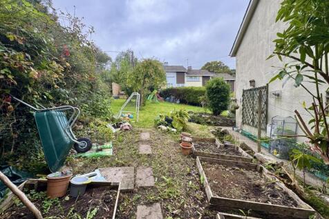 Vegetable Garden