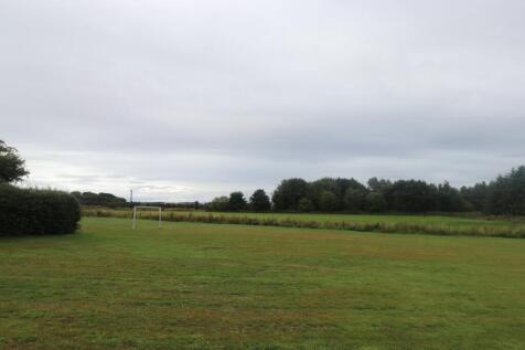 View from Plot One