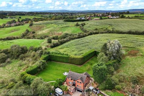 Aerial Shot