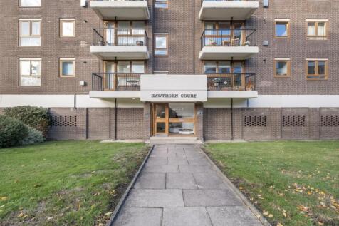 Flat-16-Hawthorn-...