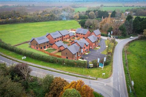 Aerial Shot