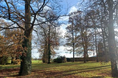 The Copse
