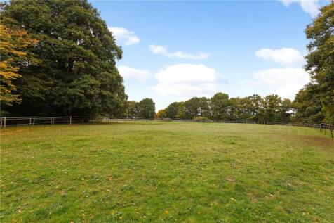 Rear Paddock