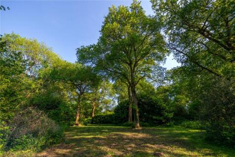 Woodland