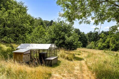 Meadow