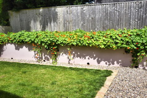 Property Image 44