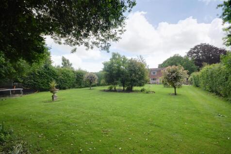 Rear gardens