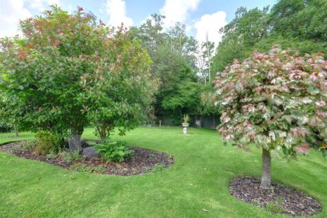 Rear gardens