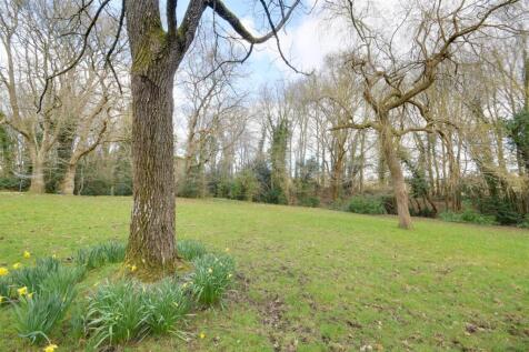 Property Image 41