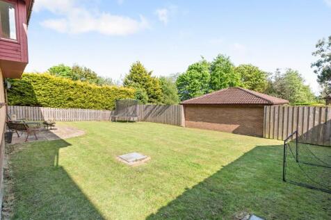 Property Image 43