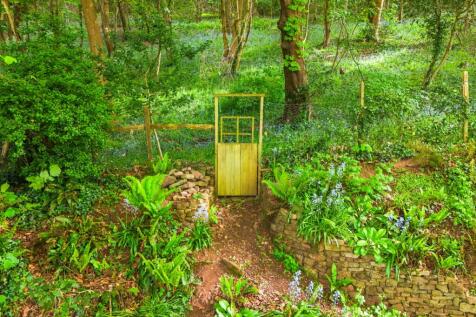 Gate To Woods