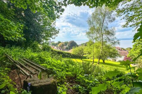 Bench With A View