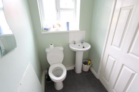 Picture 10