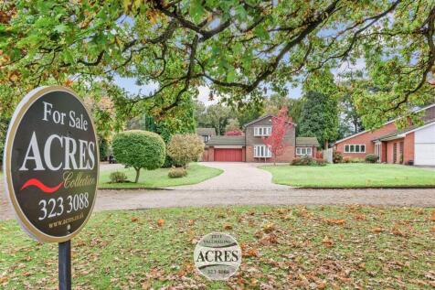 TheSpinney (1) (Large).jpg