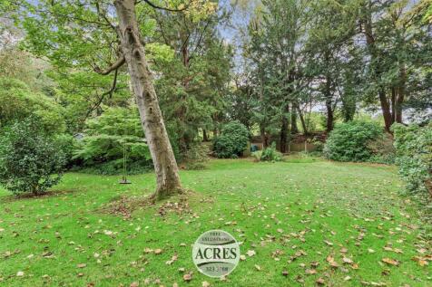 TheSpinney (43) (Large).jpg