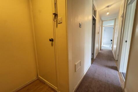 IMG_3623 (Large).JPG