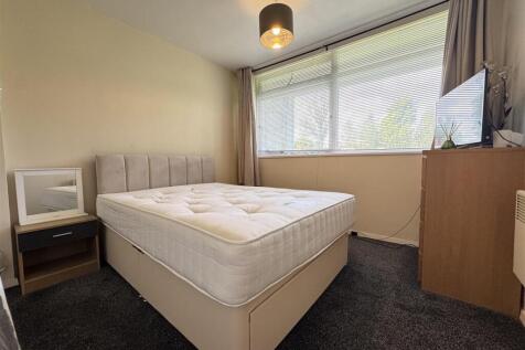 IMG_3546 (Large).JPG