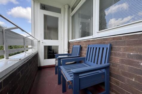 IMG_3629 (Large).JPG