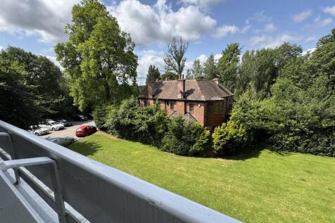 IMG_3626 (Large).JPG