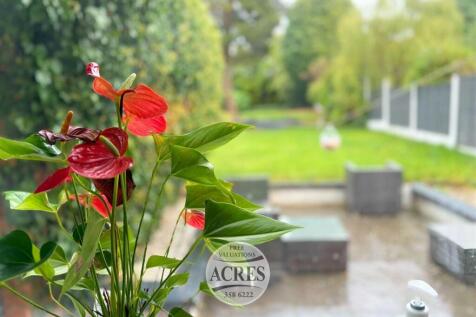 IMG_1941 (Large).jpg