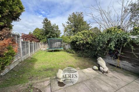 IMG_9956 (Large).jpg