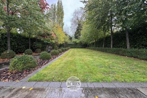 IMG_8357 (Large).jpg