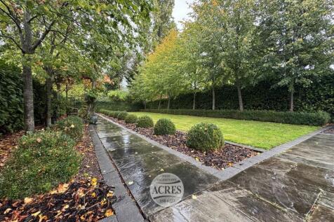 IMG_8360 (Large).jpg