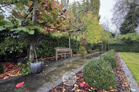 IMG_8366 (Large).jpg