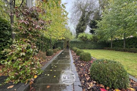 IMG_8369 (Large).jpg