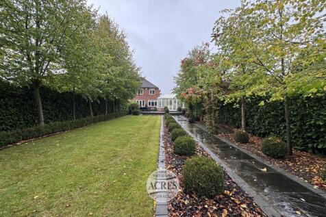 IMG_8380 (Large).jpg